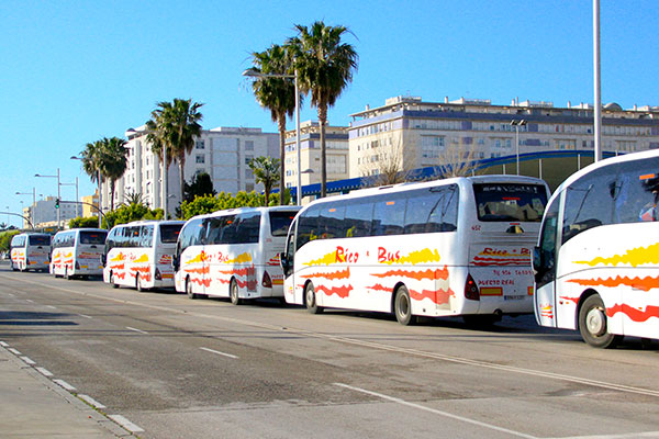Autobuses fletados para desplazamiento de cadistas / Trekant Media
