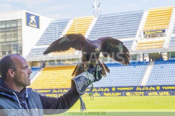 Águila en Carranza / Trekant Media