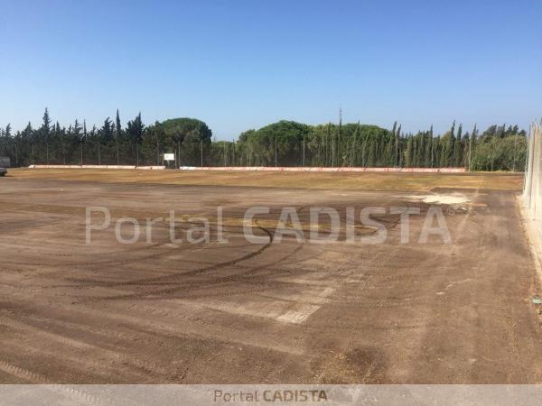 Campo 1 de El Rosal esta mañana